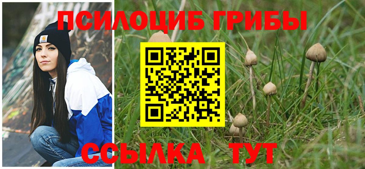 Псилоцибиновые грибы Psilocybine cubensis Невинномысск